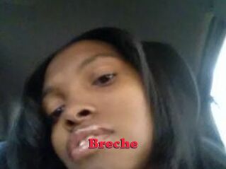 Breche