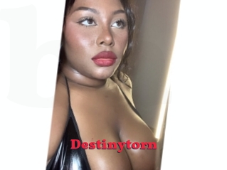 Destinytorn