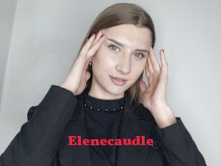 Elenecaudle