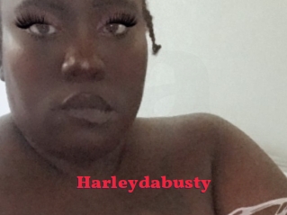 Harleydabusty