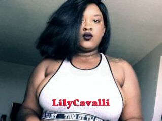 Lily_Cavalli