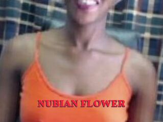 _NUBIAN_FLOWER_