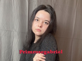 Primrosegabriel