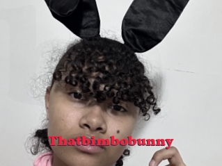 Thatbimbobunny