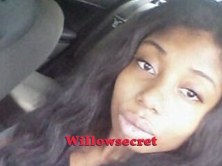 Willow_secret